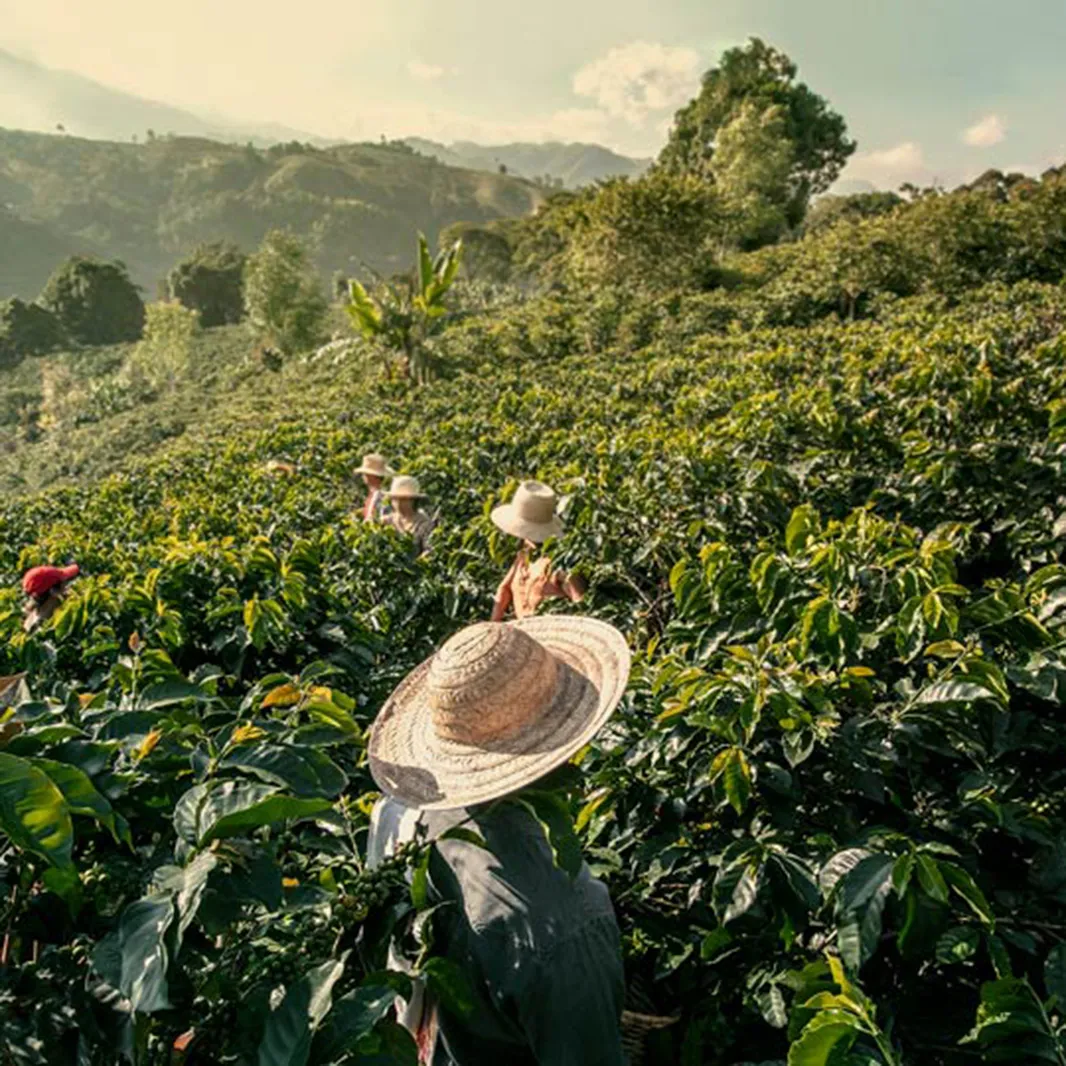 La historia de NESCAFÉ