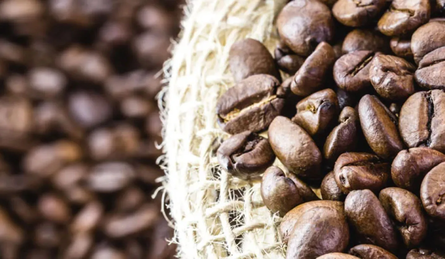 Nescafé_Banner_Granos-de-café-en-cost-mobile