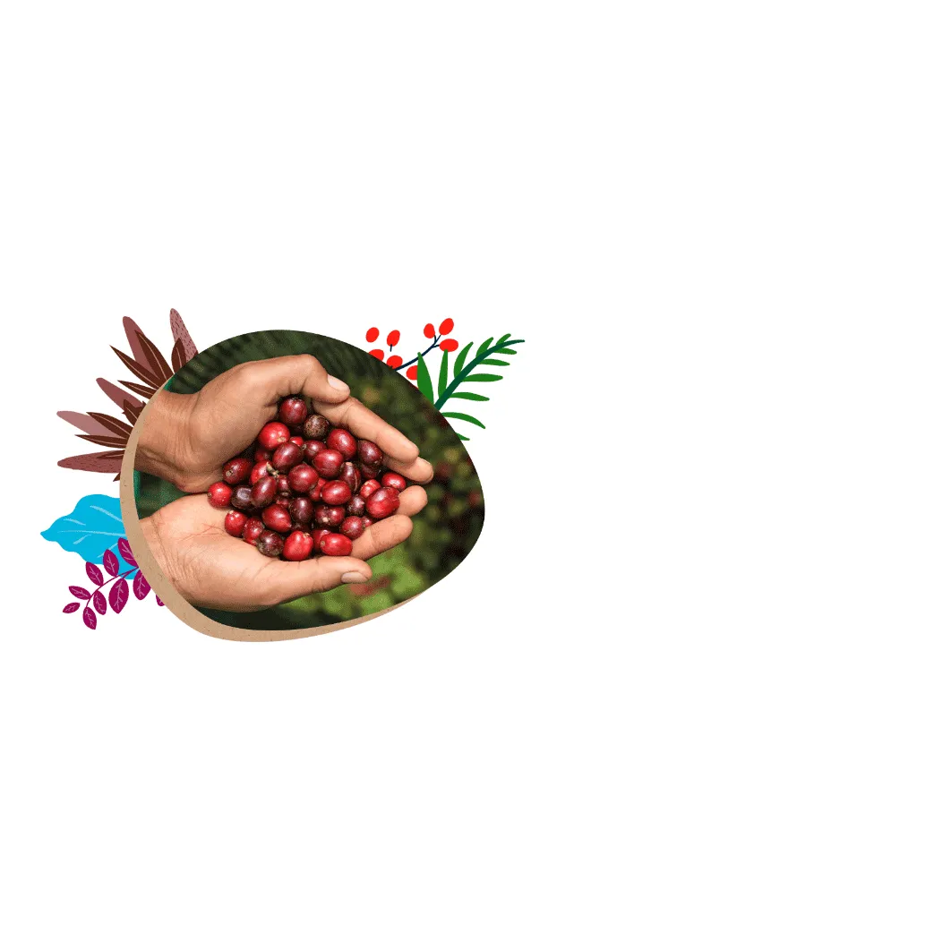 coffee farmers