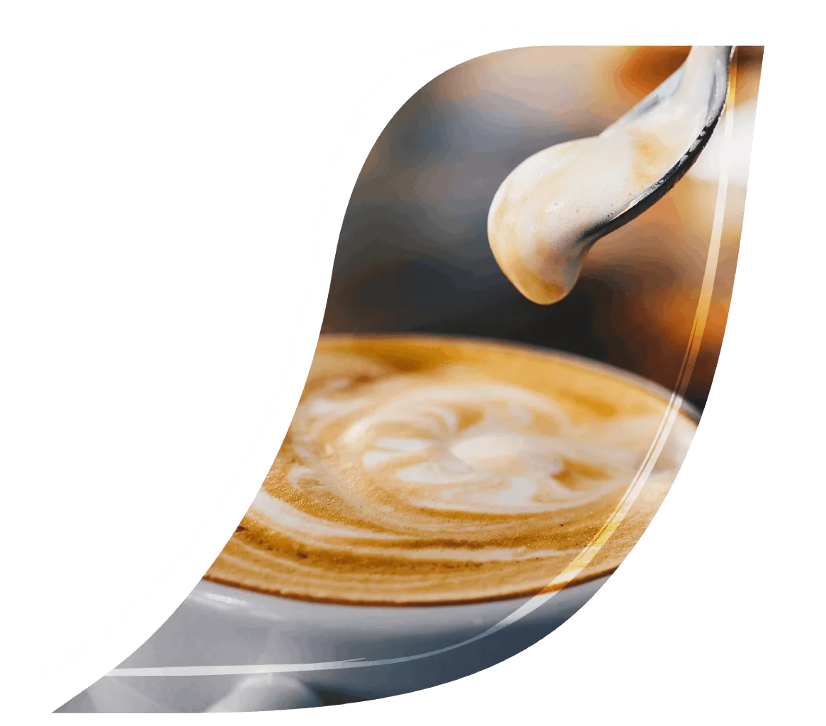 Todo sobre el capuchino