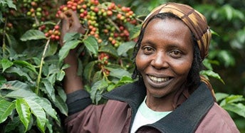 Ethiopia is Africa’s biggest coffee contributor
