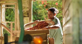 Coffee goes back a really long way