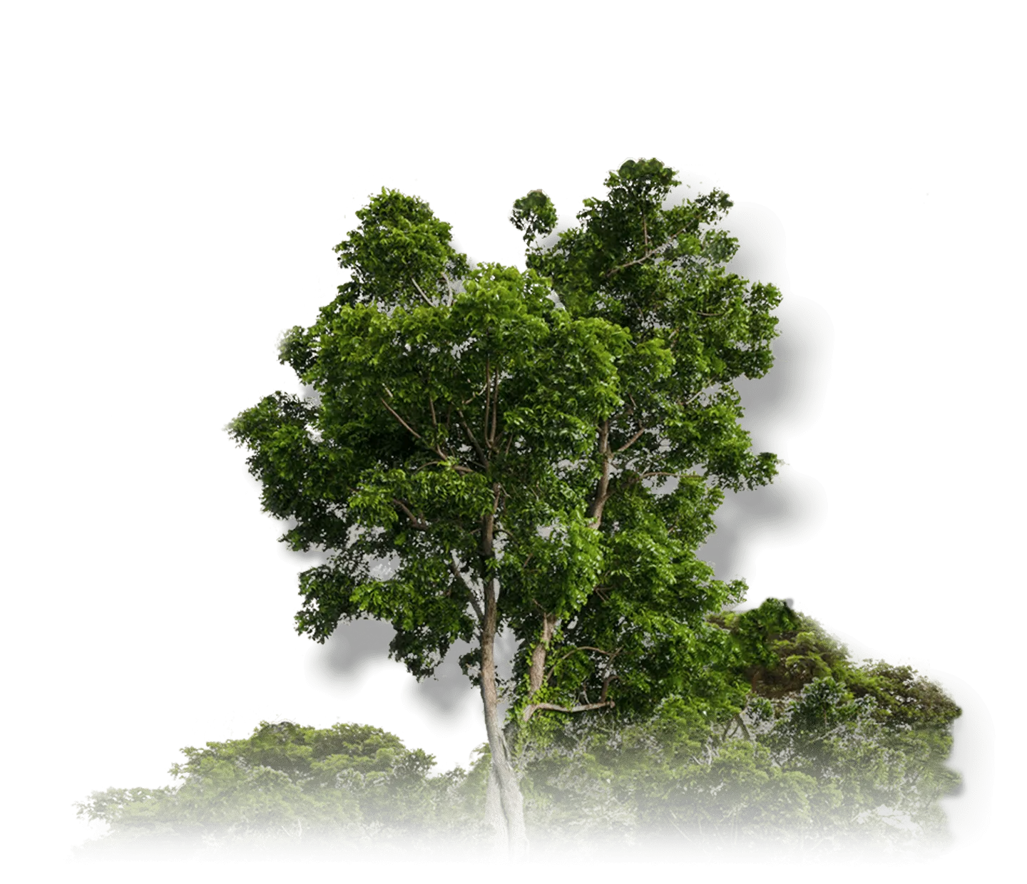 greenhouse gas emissions