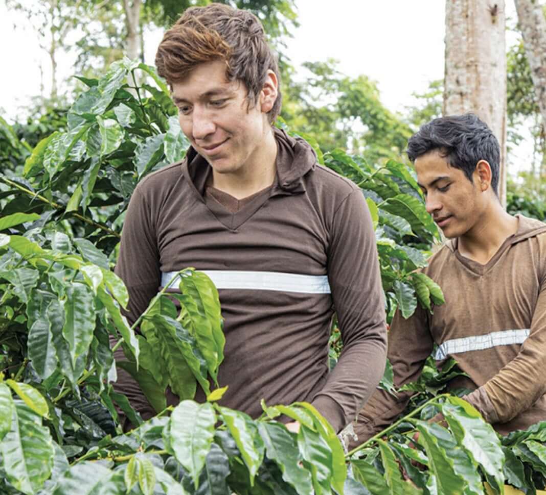 mládežnícka iniciatíva NESCAFÉ®