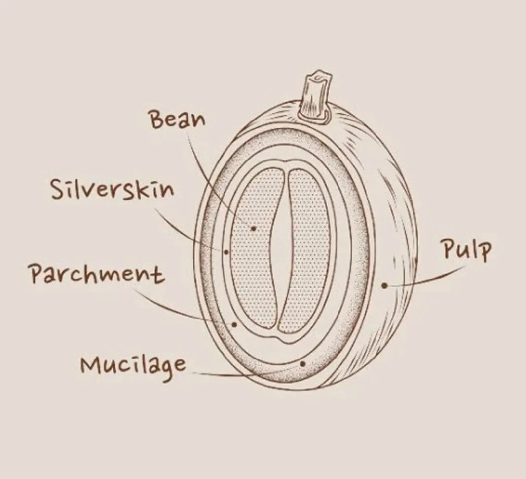 kvalitné praženie kávy