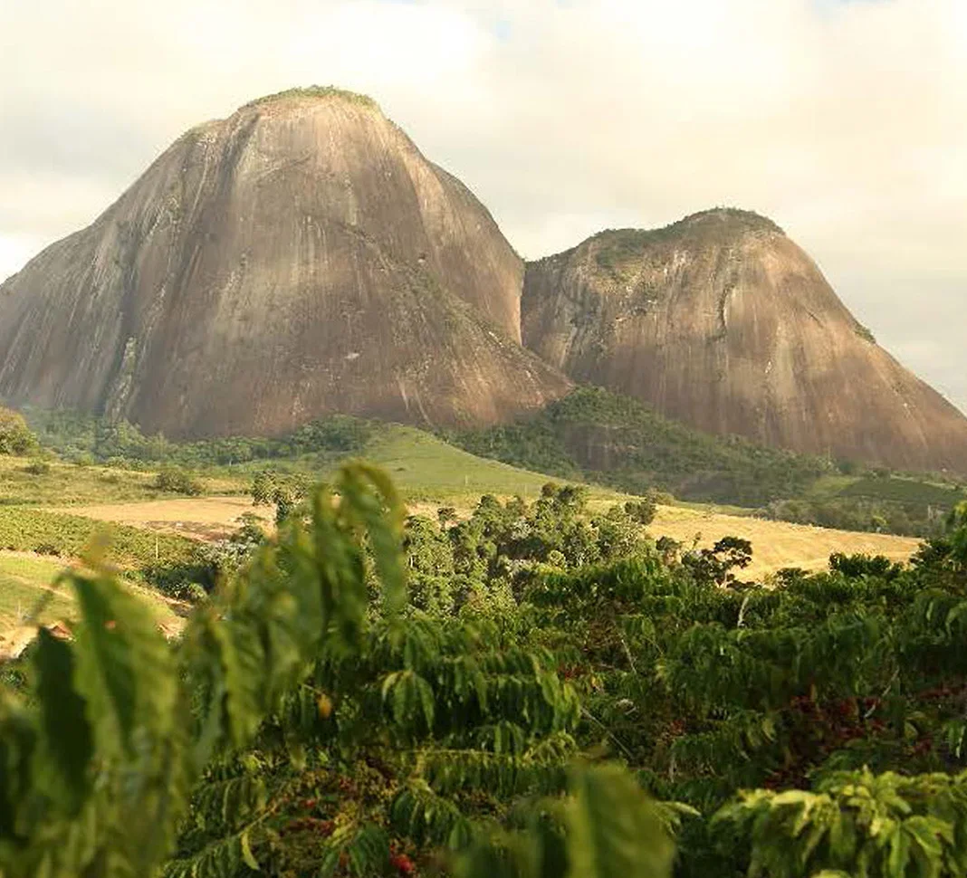 chrániť pôdu a lesy