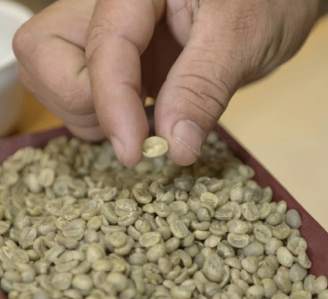 kvalitné praženie kávy