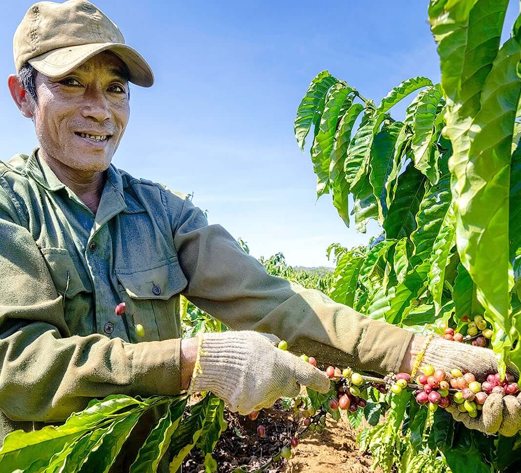 Terénny program NESCAFÉ