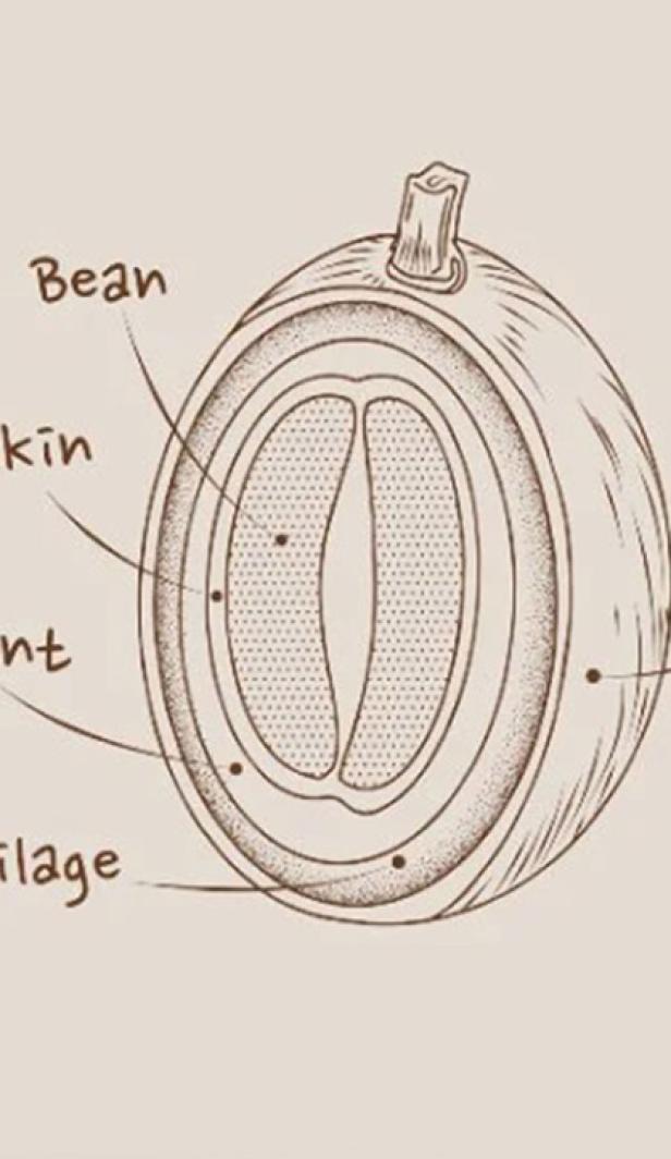 Spoznajte Druhy Praženia Kávy