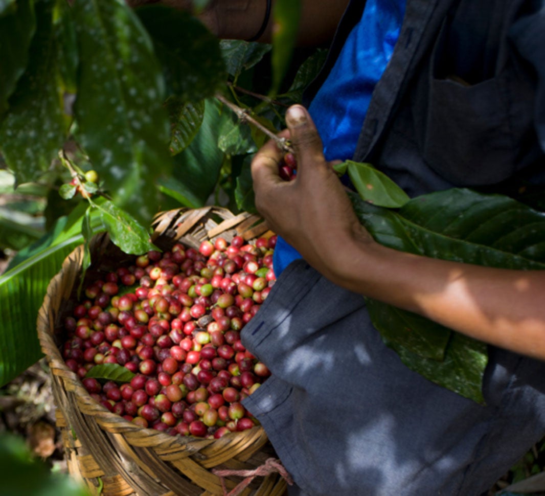Mokka Kaffeegetränk
