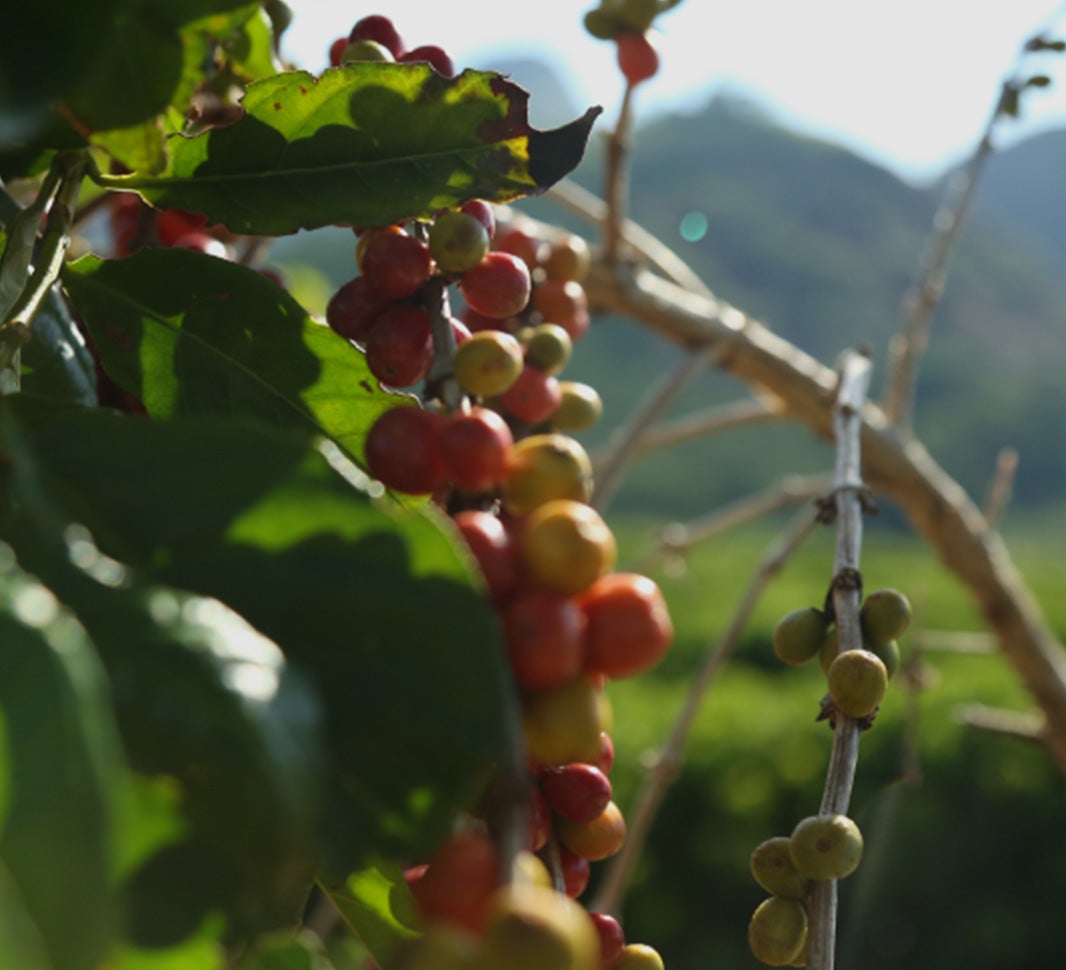 Mokka Kaffeegetränk