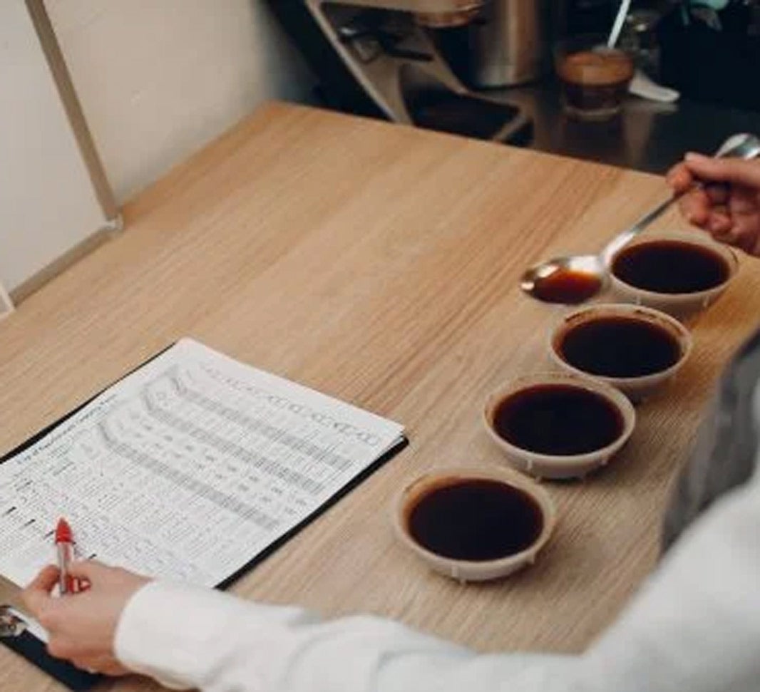 Durchführung von Coffee Cupping