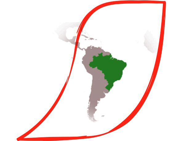 Brasilianische Kaffeebauern