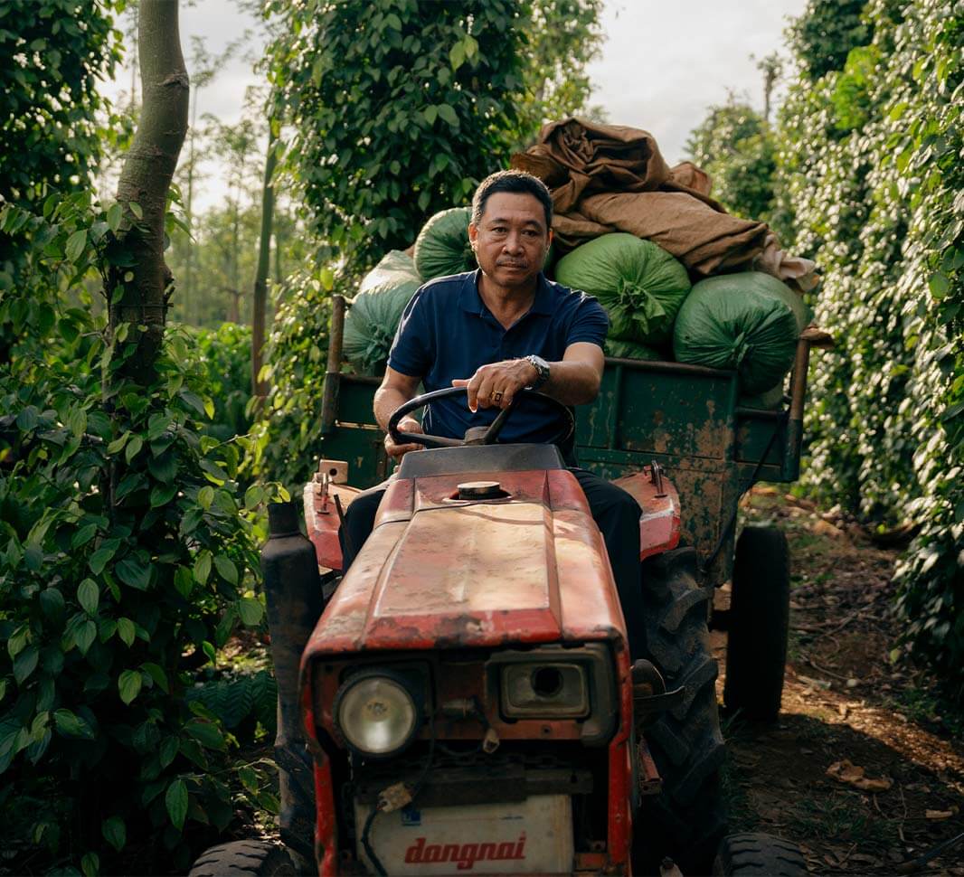 Mischkultur-Anbaumethoden