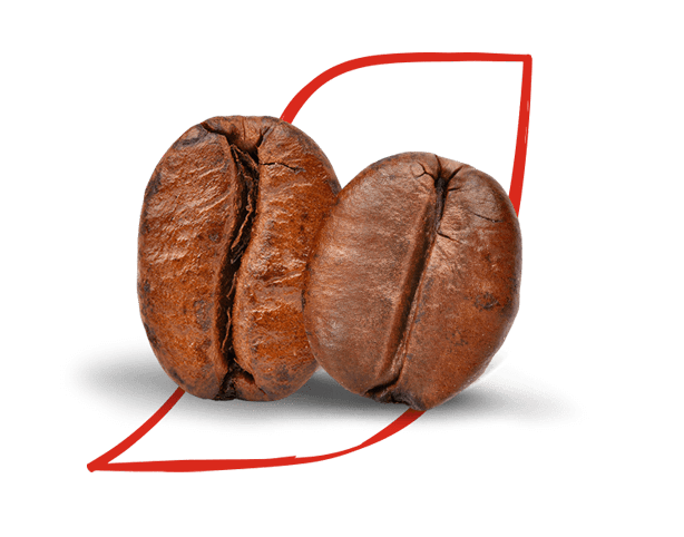 Abbildung von Kaffeebohnen im NESCAFÉ Akzent