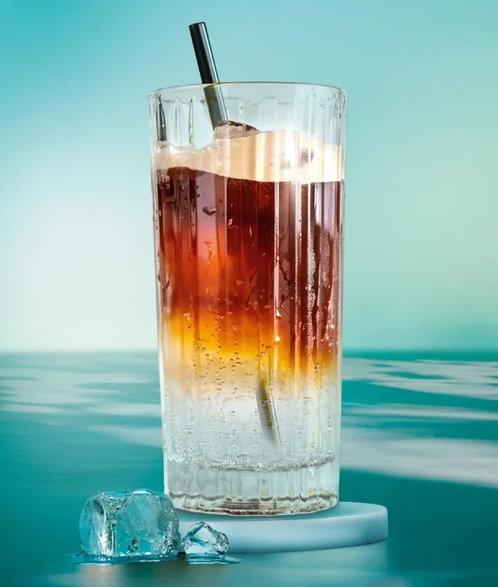 Vanilla Ginger Fizz