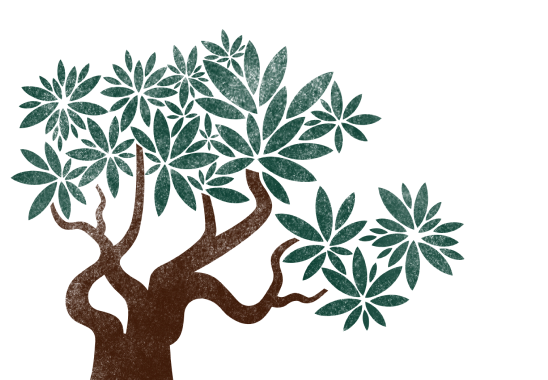 Kaffe fra Peru og Colombia.