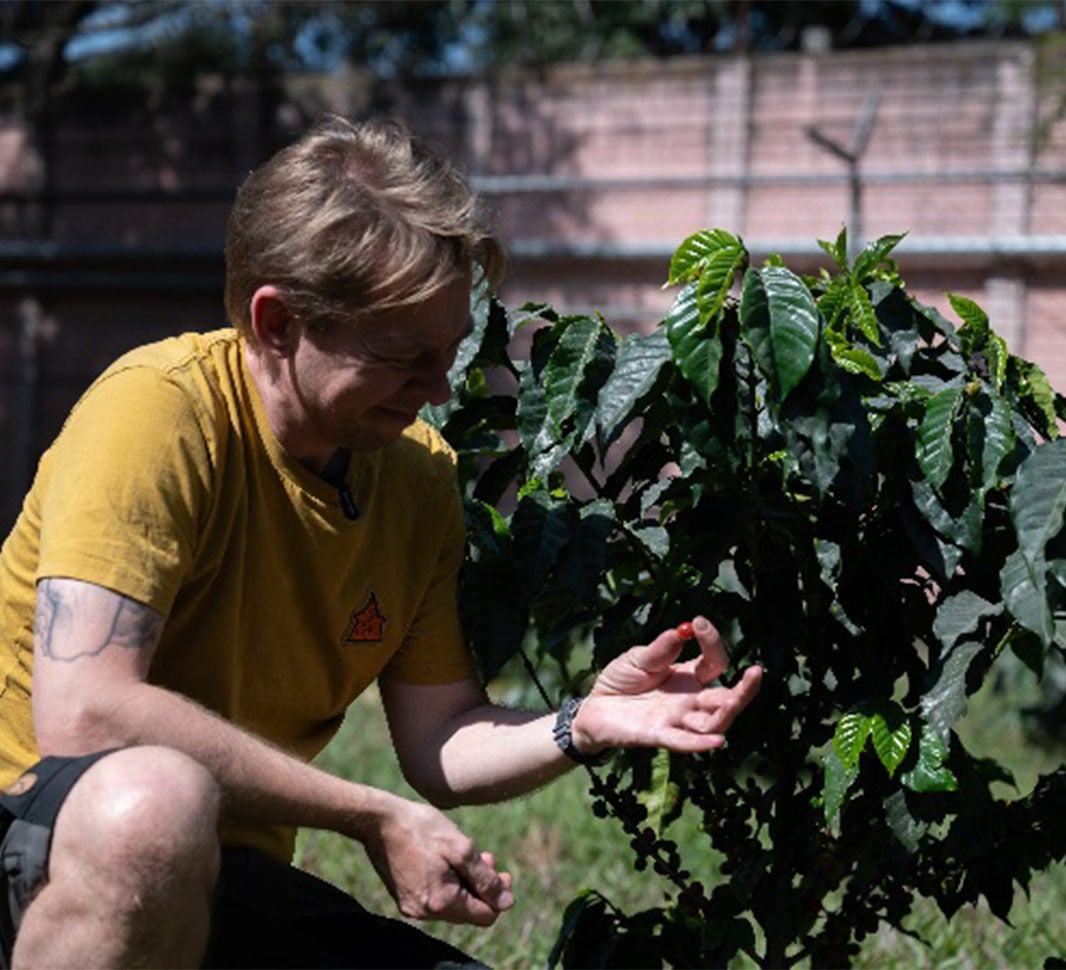 alt mand med kaffebær