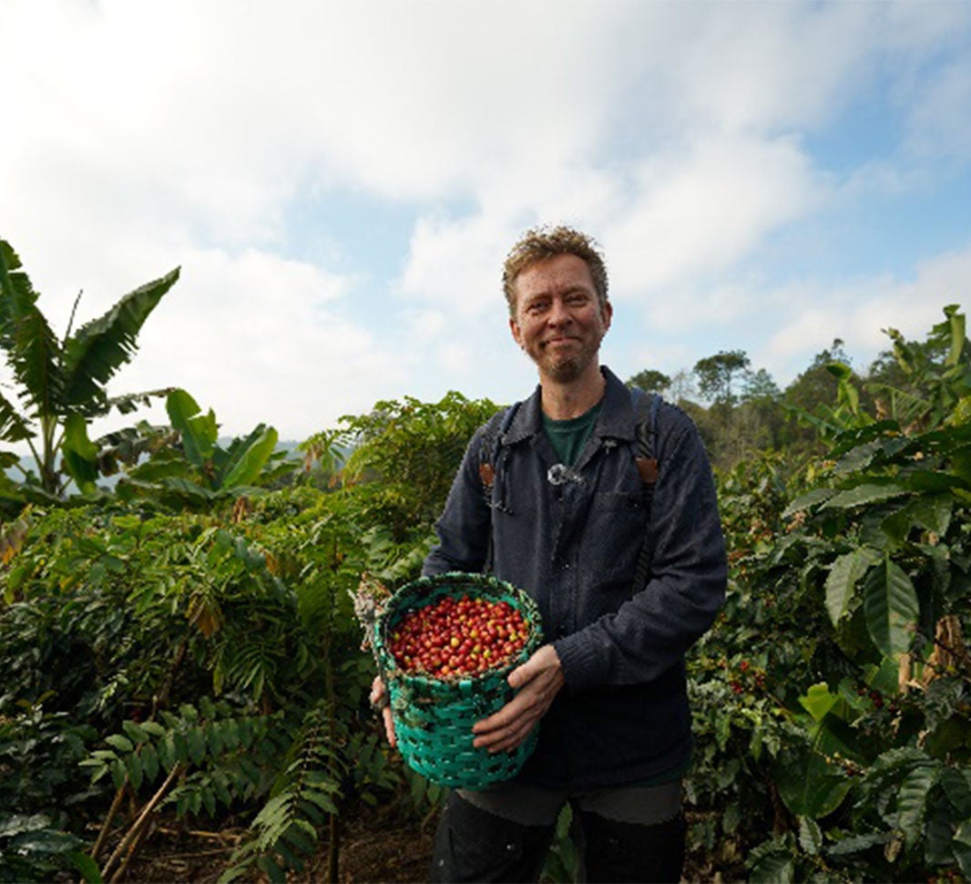 mand med en kurv med kaffebær