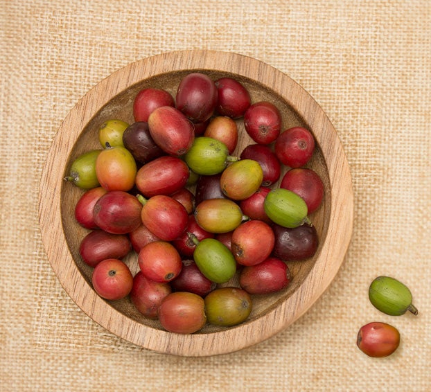 Kaffekultur i Colombia