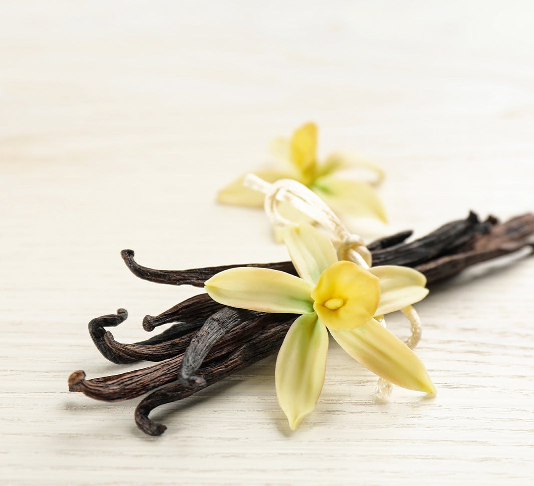 vaniljeblomst og stang