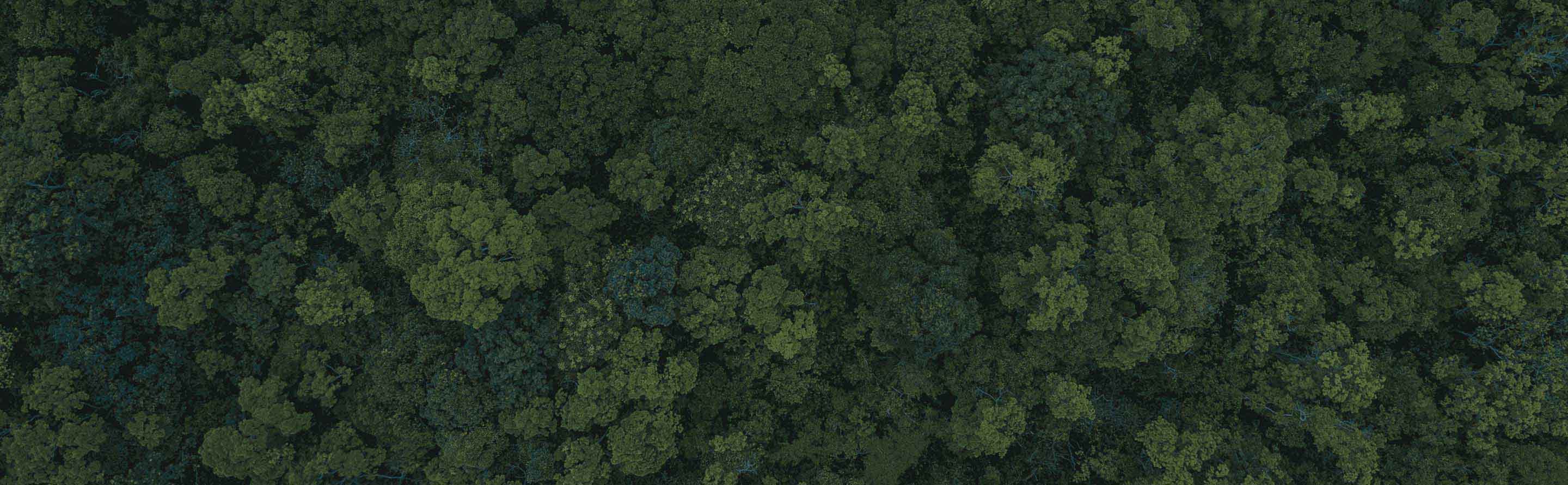 nescafé løfte om bæredygtighed