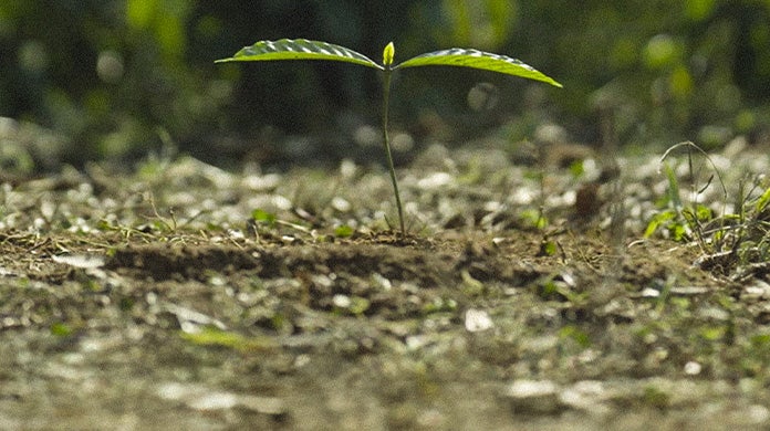NESCAFÉ plan initiativ