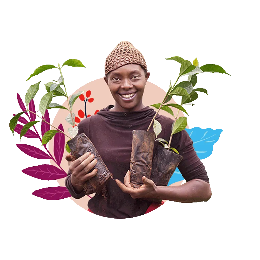 nescafé farmers oprindelse smag