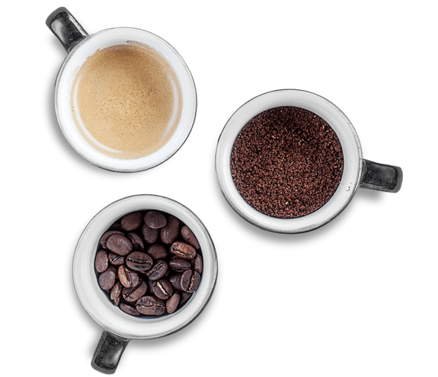 Degustación de café