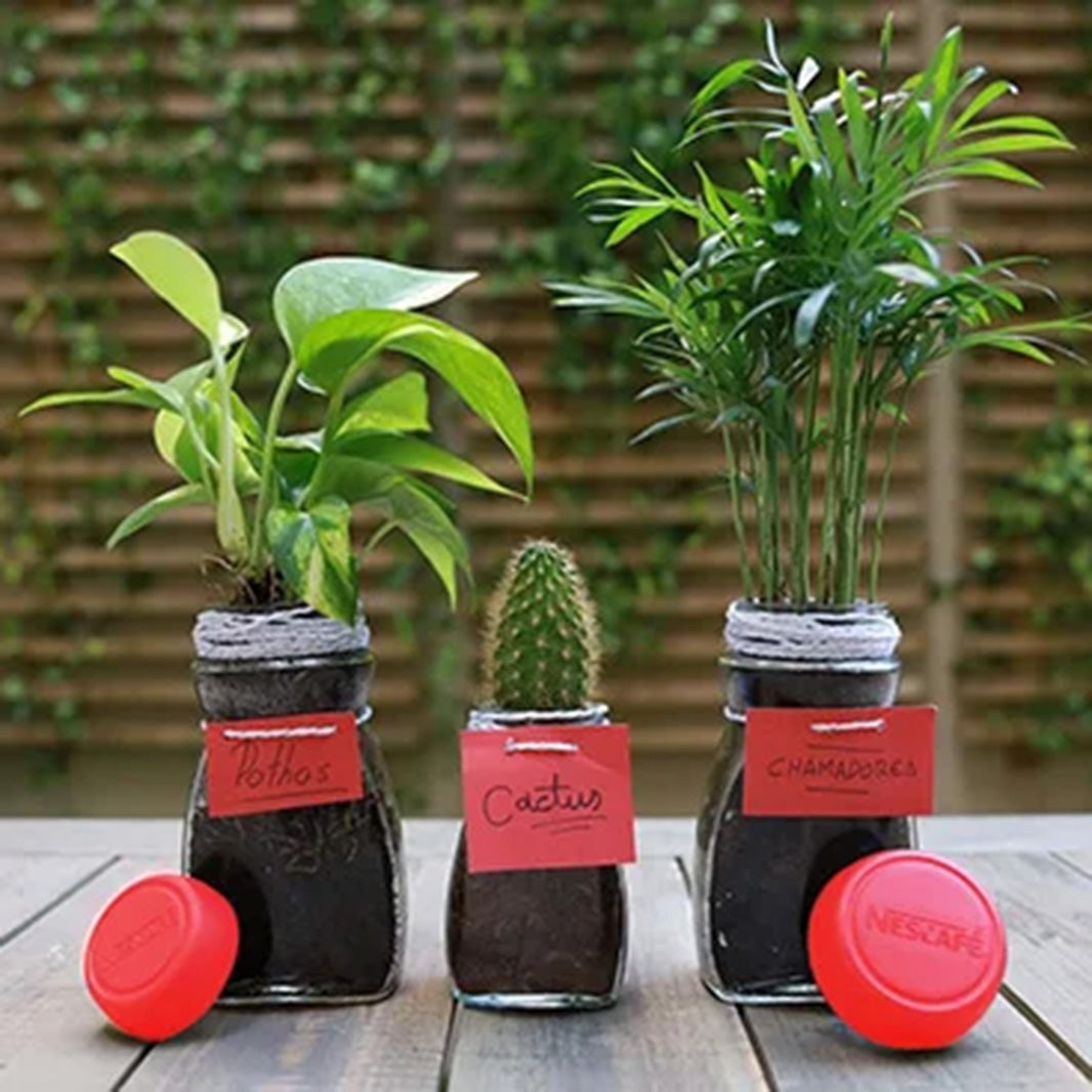 Un macetero para tus plantas