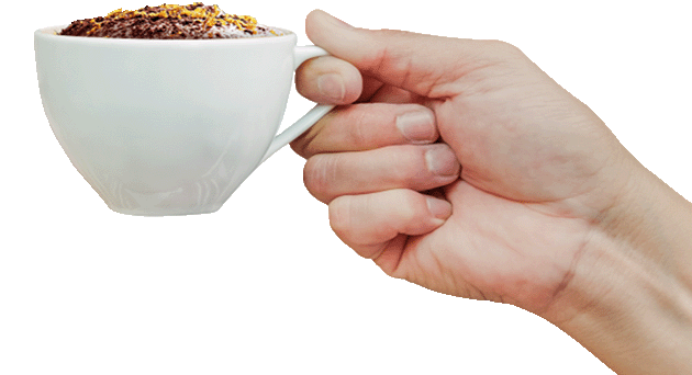 Nescafé sostenibilidad