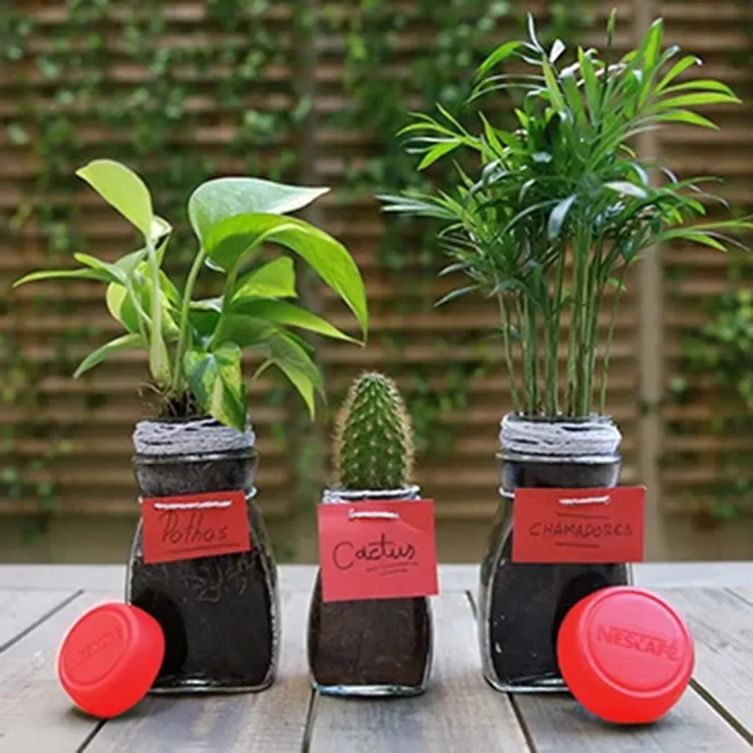 Un macetero para tus plantas