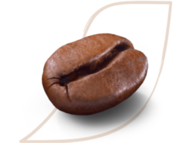 nescafé farmers origins plants