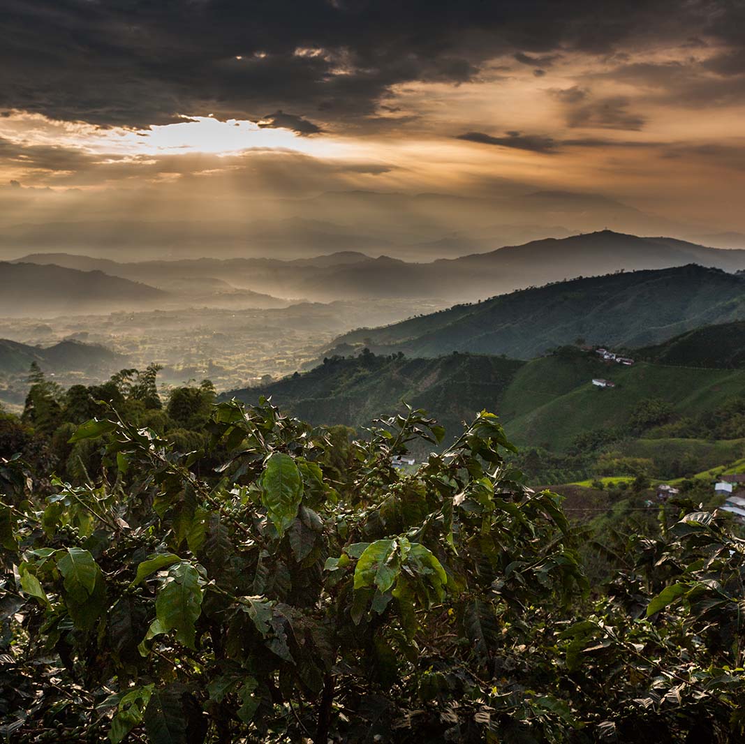 vista del paisaje al atardecer