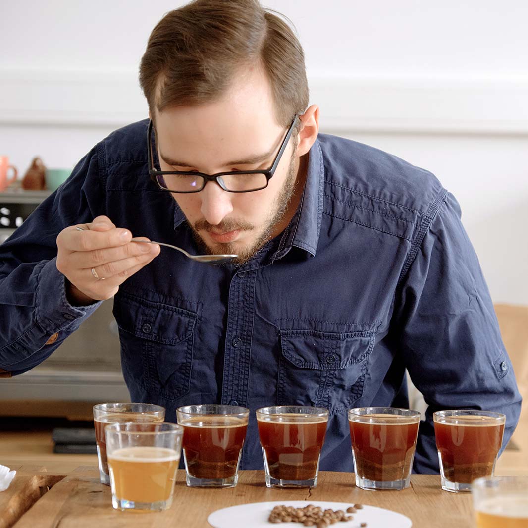 ENTENDIENDO EL MUNDO DEL CAFÉ