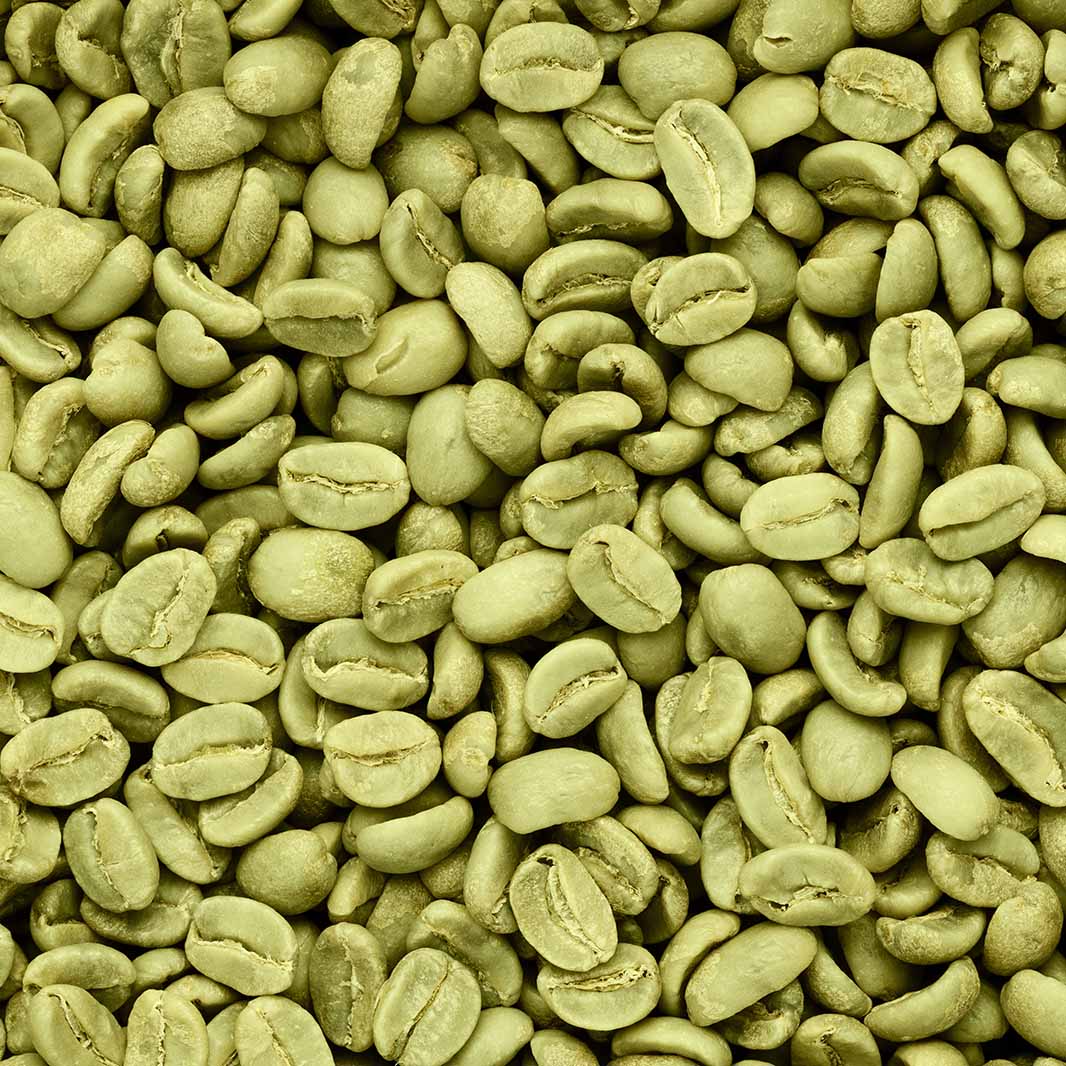 Granos de café arábica