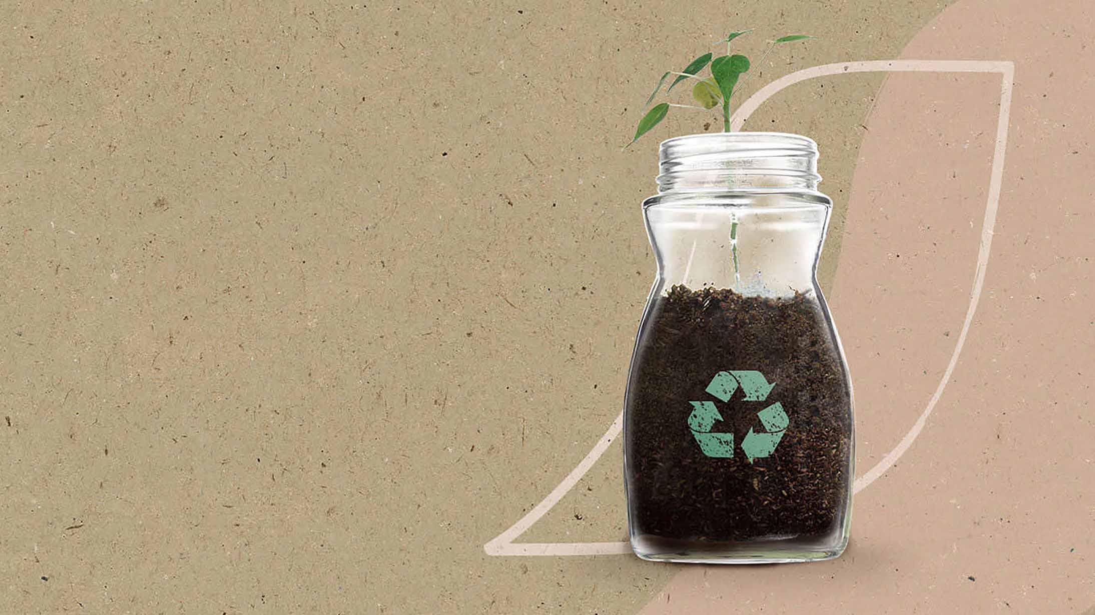 Plantar en un frasco de vidrio vacío de NESCAFÉ
