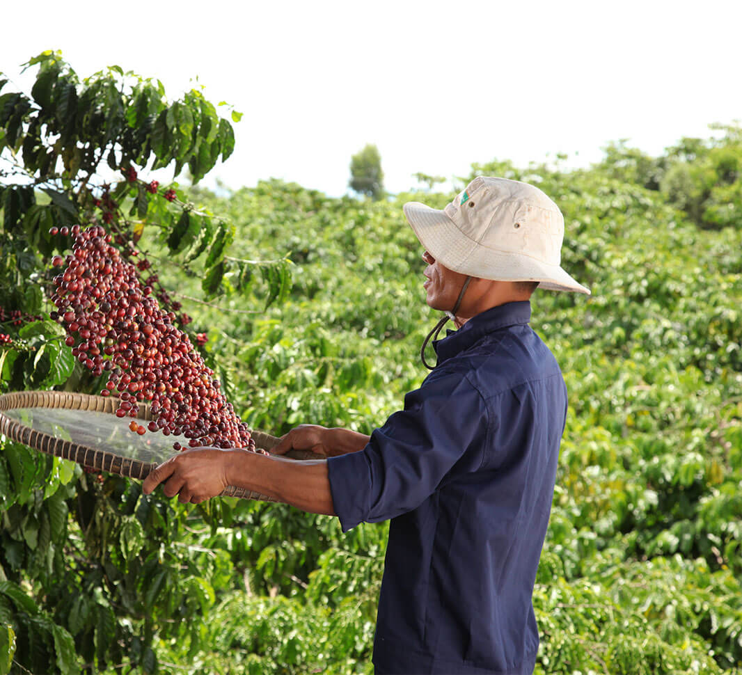 Reducir las emisiones de gases de efecto invernadero
