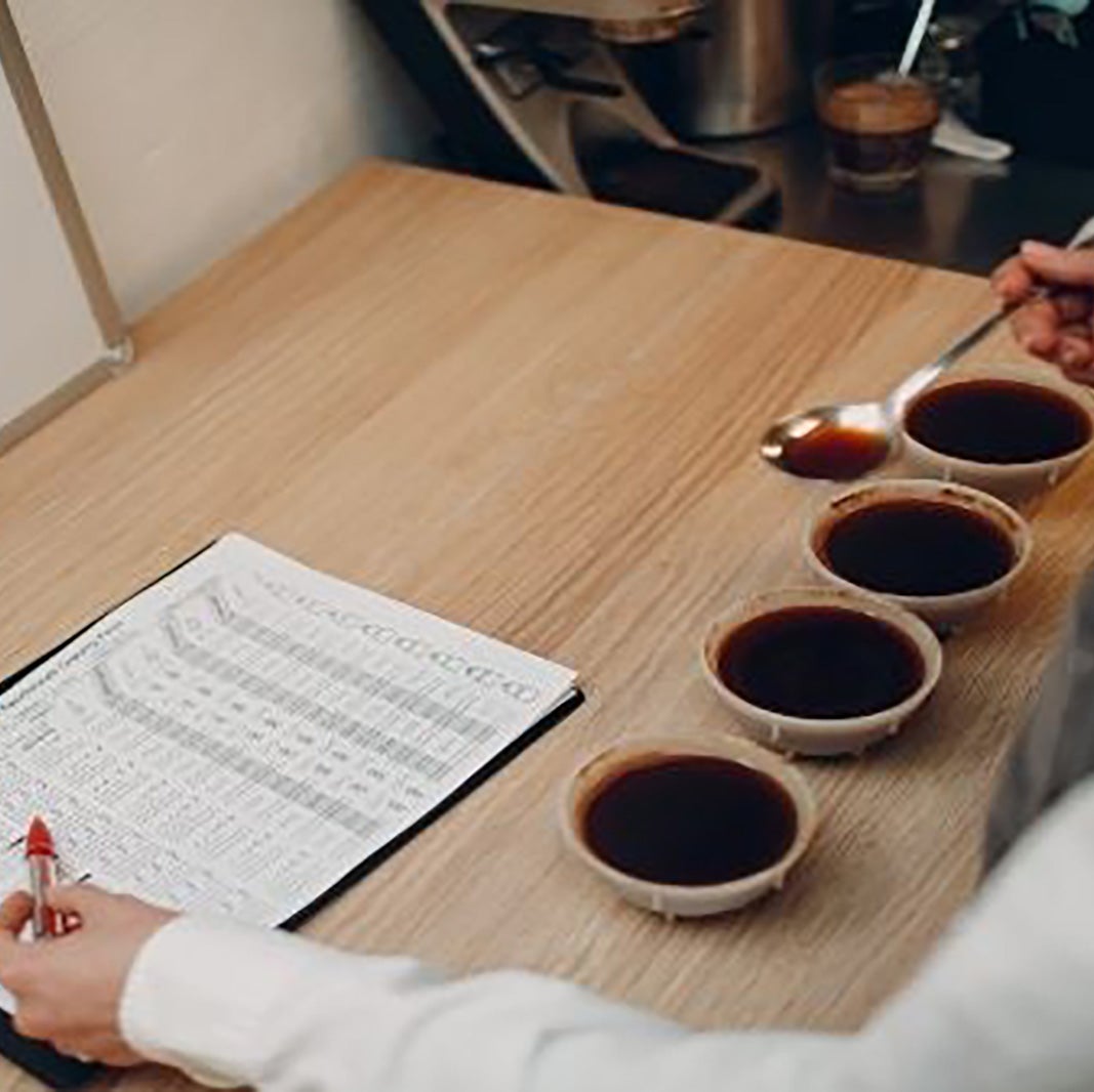 ¿Qué es la cata de café?