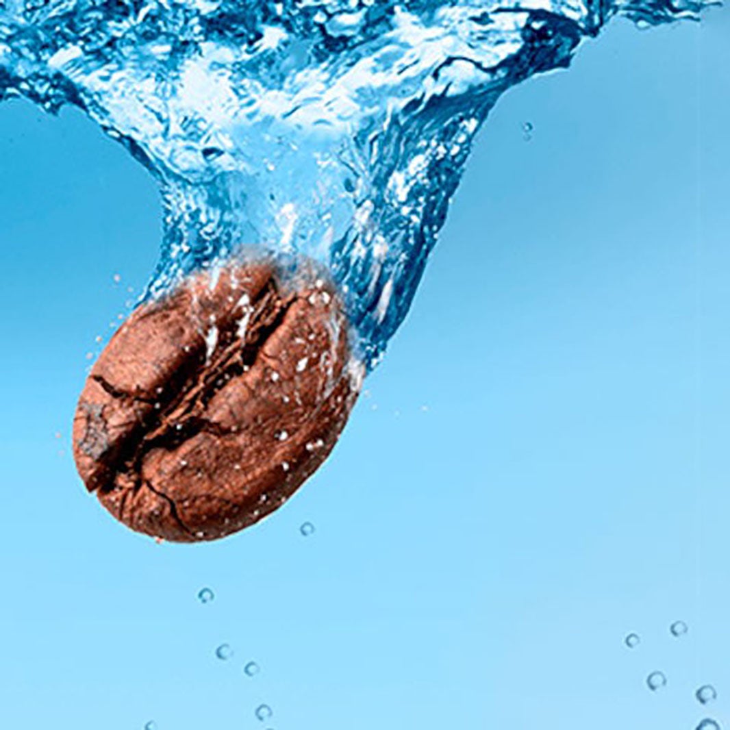 proceso descafeinación