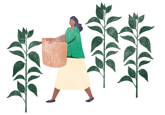 agricultores de café en colombia
