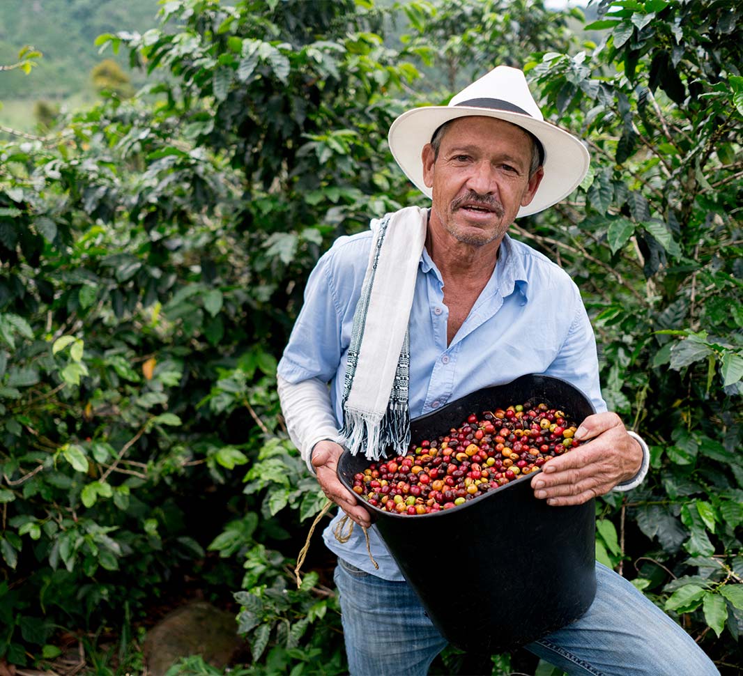 Proteger los orígenes del café