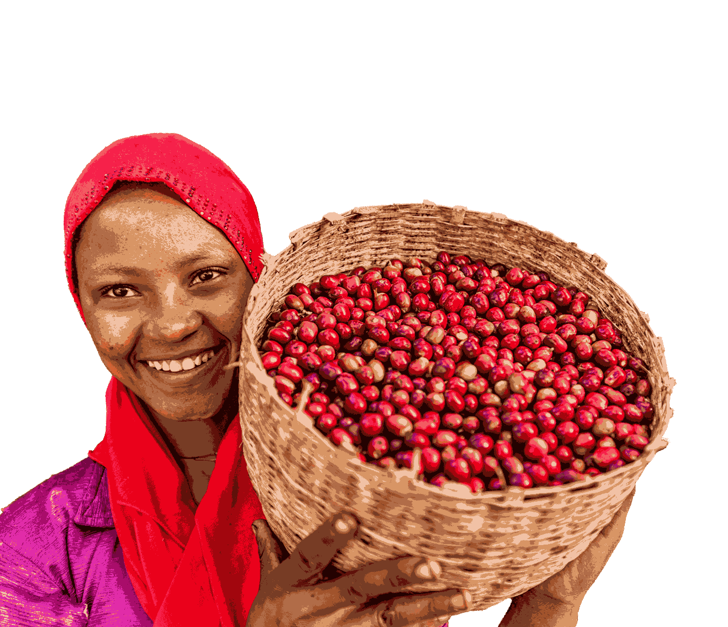  Arábica vs. robusta: Descubre las diferencias principales