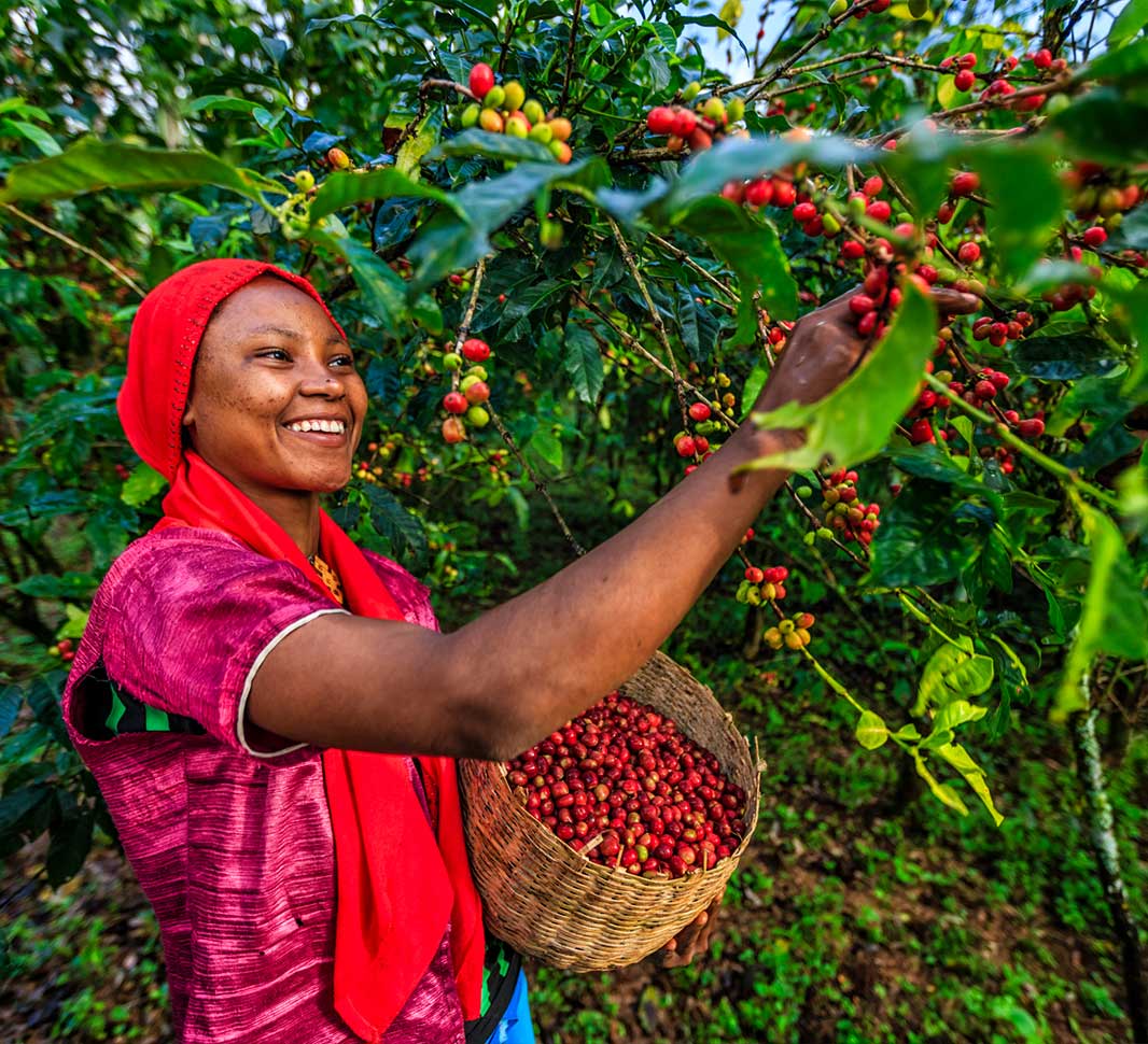  Logrando que la vida sepa mejor