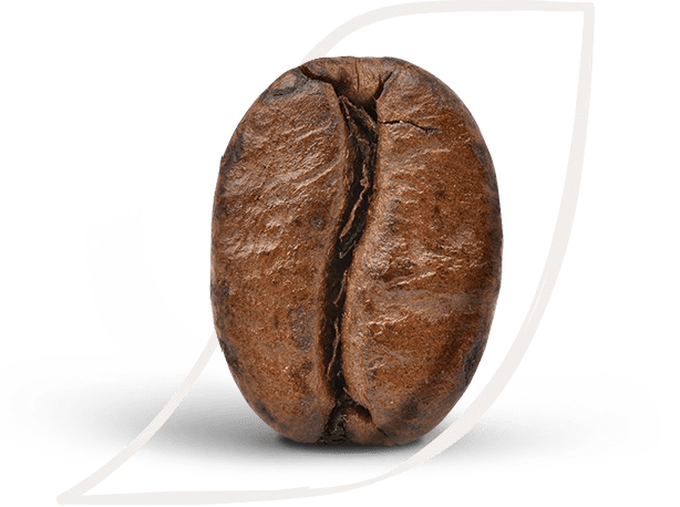 Aprende sobre el café