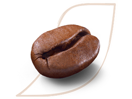 Granos de café