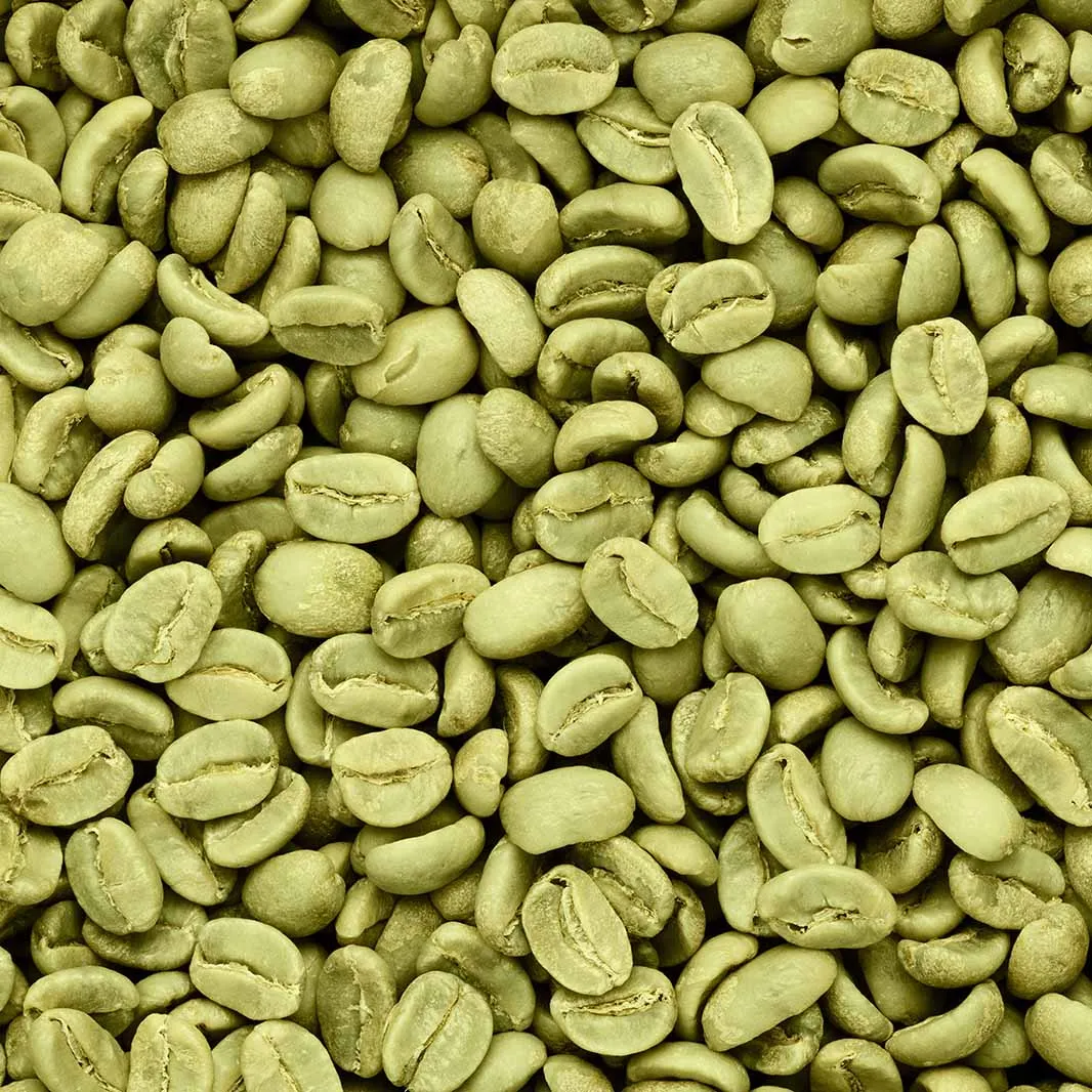Granos de café arábica