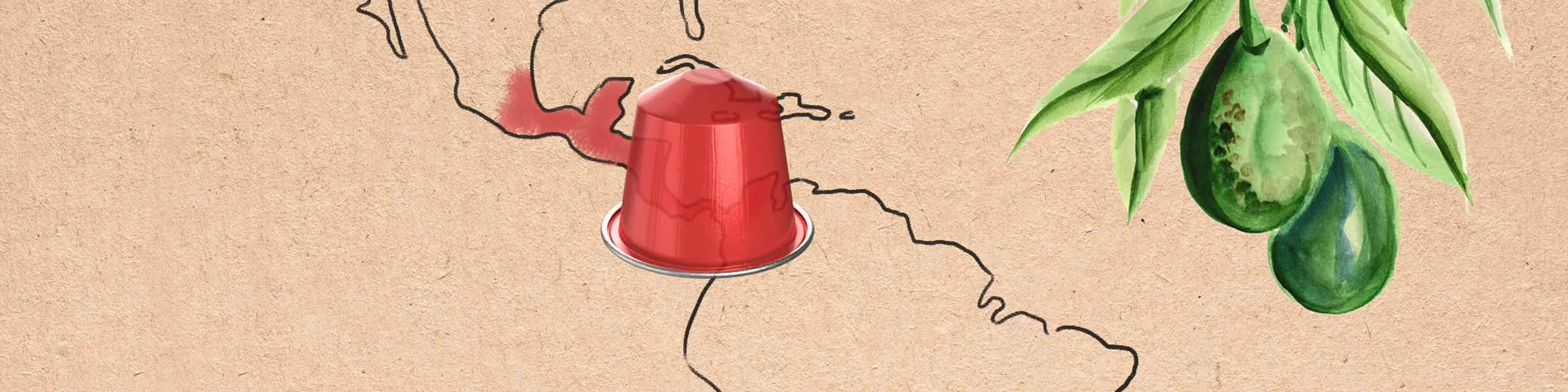 Colombia Espresso + aguacate