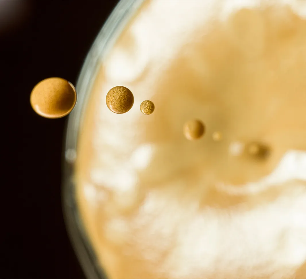Ciencia deliciosa