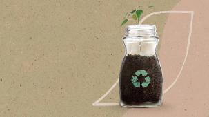 Plantar en un frasco de vidrio vacío de NESCAFÉ